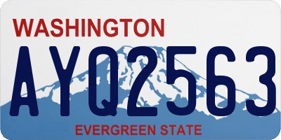 WA license plate AYQ2563