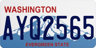 WA license plate AYQ2565