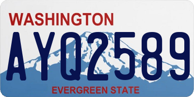 WA license plate AYQ2589