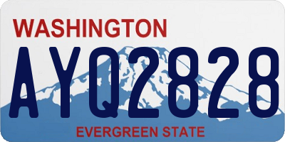 WA license plate AYQ2828