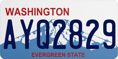 WA license plate AYQ2829