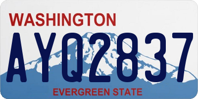 WA license plate AYQ2837