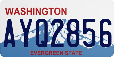 WA license plate AYQ2856