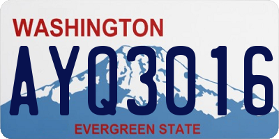 WA license plate AYQ3016
