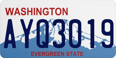 WA license plate AYQ3019
