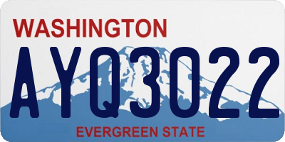 WA license plate AYQ3022