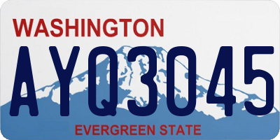 WA license plate AYQ3045