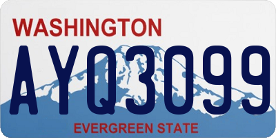 WA license plate AYQ3099