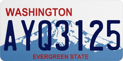 WA license plate AYQ3125