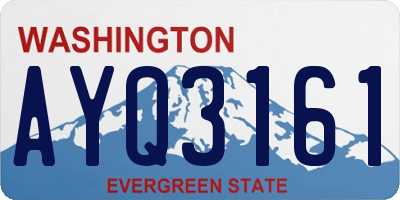 WA license plate AYQ3161