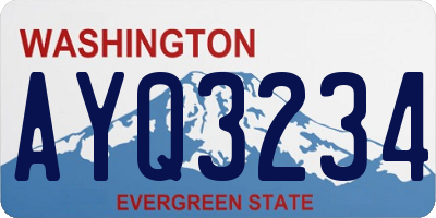 WA license plate AYQ3234