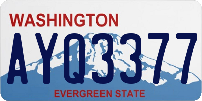 WA license plate AYQ3377