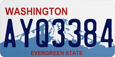 WA license plate AYQ3384