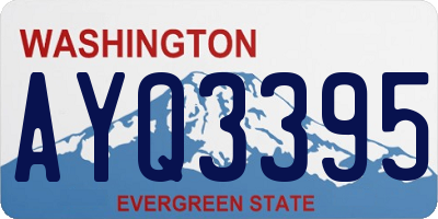 WA license plate AYQ3395