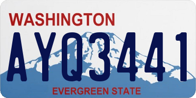 WA license plate AYQ3441