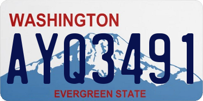 WA license plate AYQ3491