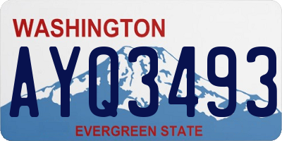 WA license plate AYQ3493