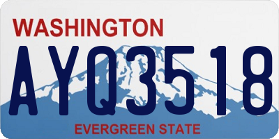 WA license plate AYQ3518