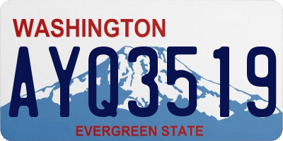 WA license plate AYQ3519