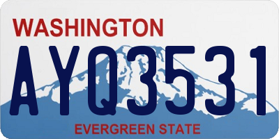 WA license plate AYQ3531