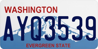 WA license plate AYQ3539