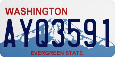 WA license plate AYQ3591
