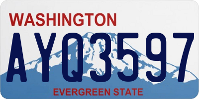 WA license plate AYQ3597
