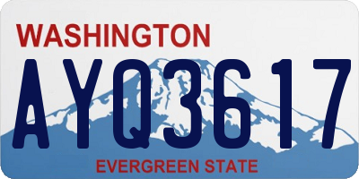 WA license plate AYQ3617