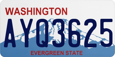 WA license plate AYQ3625