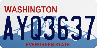 WA license plate AYQ3637