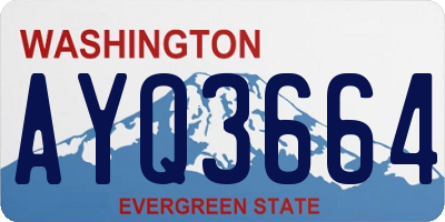 WA license plate AYQ3664