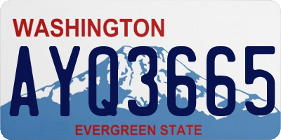 WA license plate AYQ3665