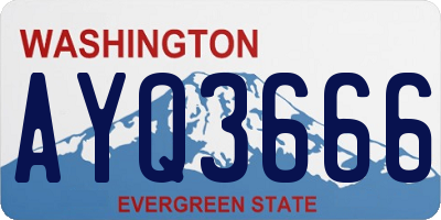 WA license plate AYQ3666