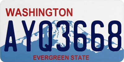 WA license plate AYQ3668