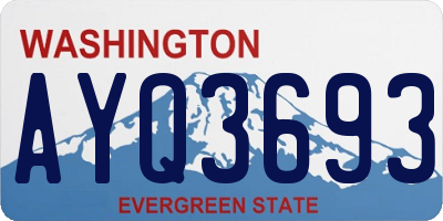 WA license plate AYQ3693