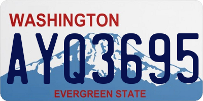 WA license plate AYQ3695