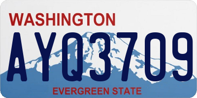 WA license plate AYQ3709