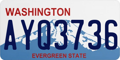 WA license plate AYQ3736