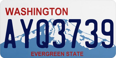 WA license plate AYQ3739