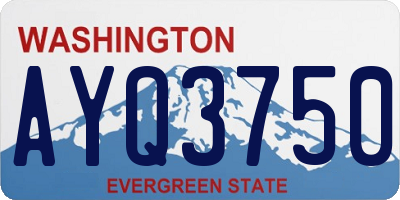 WA license plate AYQ3750