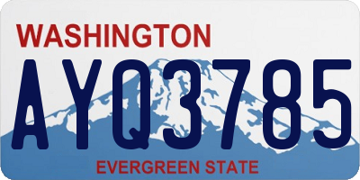 WA license plate AYQ3785