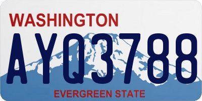 WA license plate AYQ3788