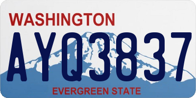 WA license plate AYQ3837