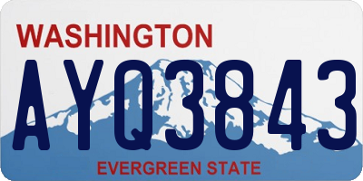 WA license plate AYQ3843