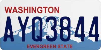 WA license plate AYQ3844