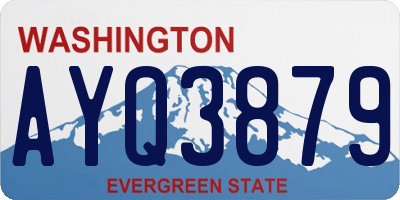 WA license plate AYQ3879