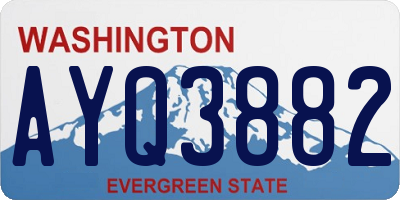 WA license plate AYQ3882