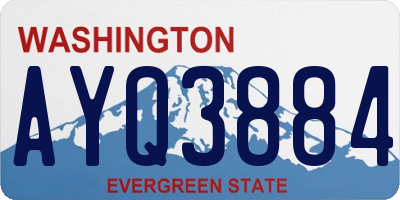 WA license plate AYQ3884
