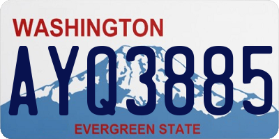 WA license plate AYQ3885