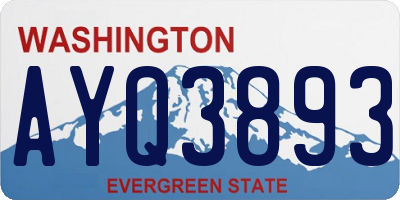 WA license plate AYQ3893